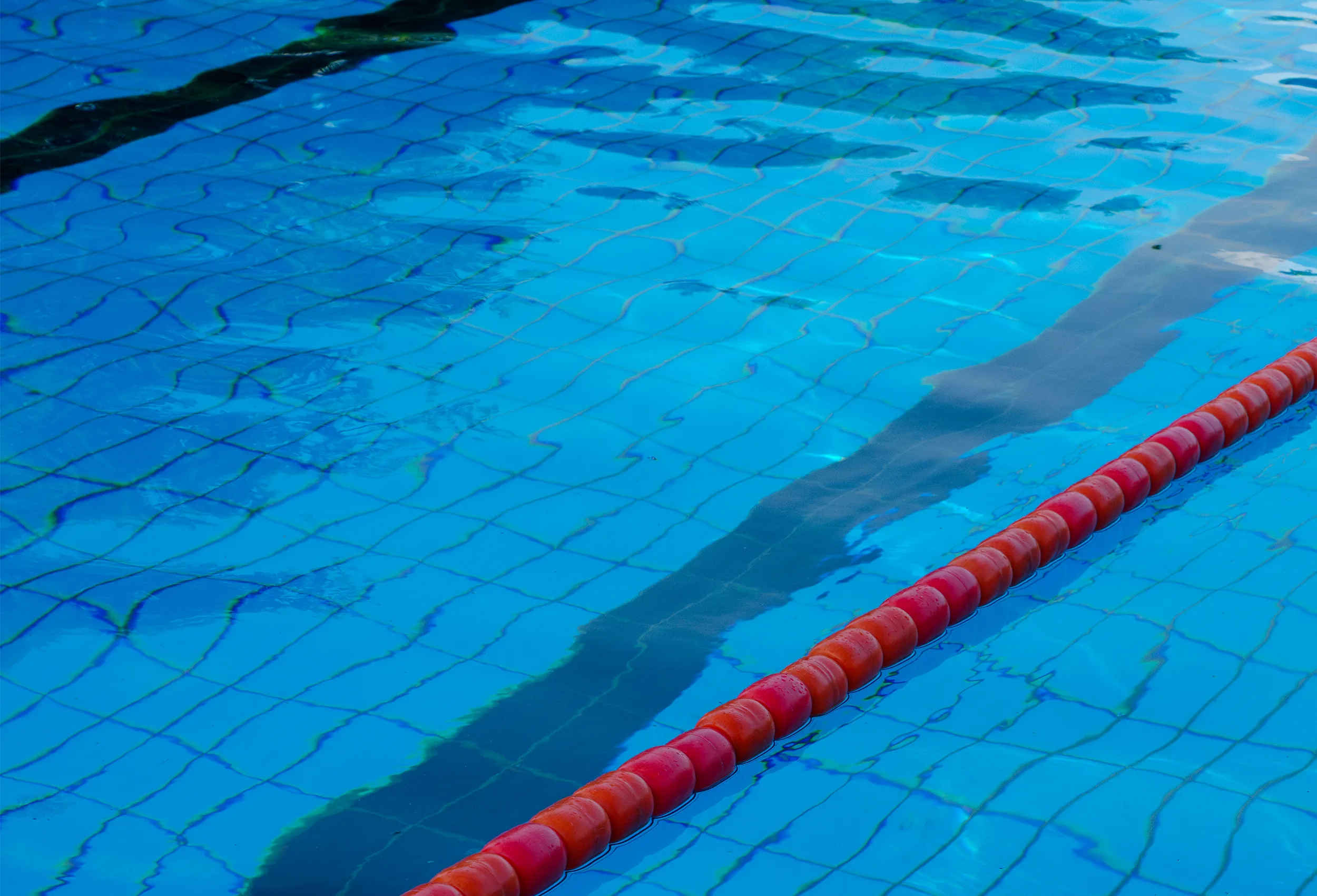 Hintergrundbeschreibung